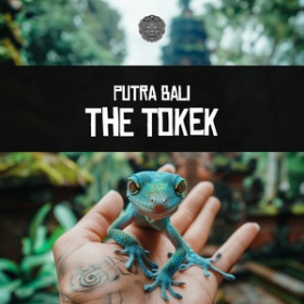PUTRA BALI - THE TOKEK